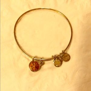 Alex&Ani Nov Birth Stone Charm